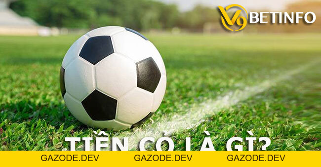Tiền cỏ, tiền com, tiền hoa hồng, tiền hoàn trả là gì? - V9bet