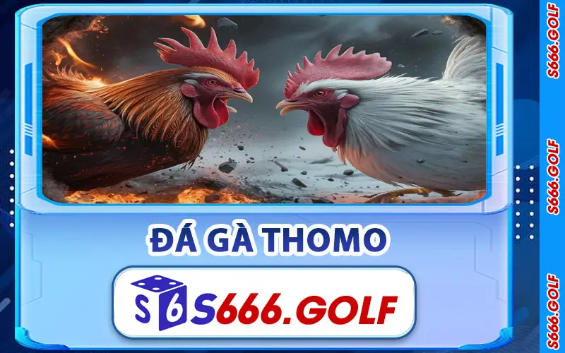 Đá Gà Thomo Tại S666 – Trải Nghiệm Kich Tính Bậc Nhất