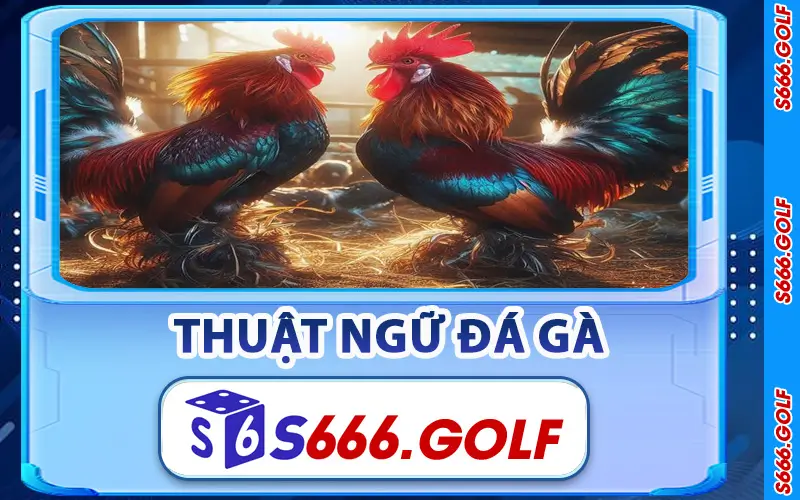 Đá Gà S666 – Thiên Đường Cá Cược Gà Chiến Đẳng Cấp 2026